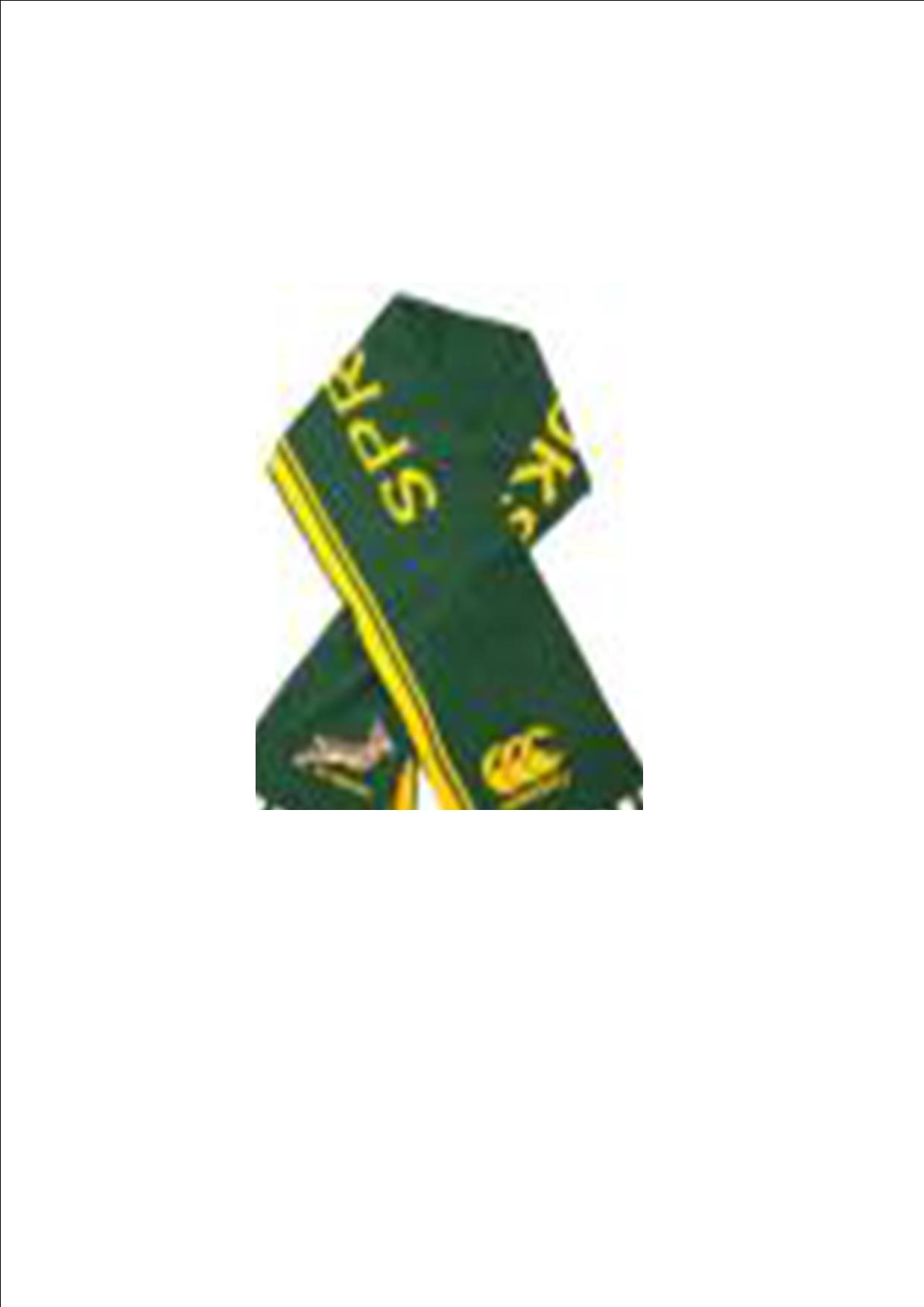 Springbok Scarf